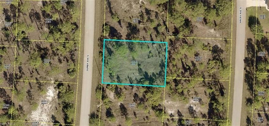 Great opportunity to own this residential lot located off state road 82 with easy access to nearby cities and Southwest Florida International Airport.