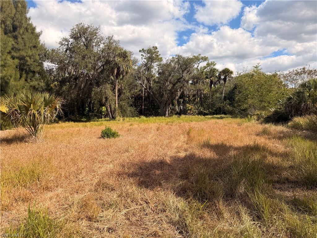 NORTH FORT MYERS - Land