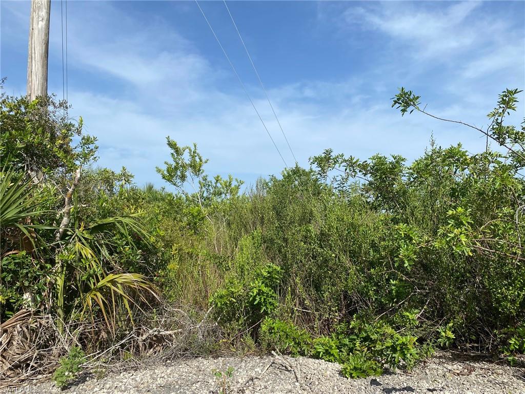 NOT APPLICABLE - Land