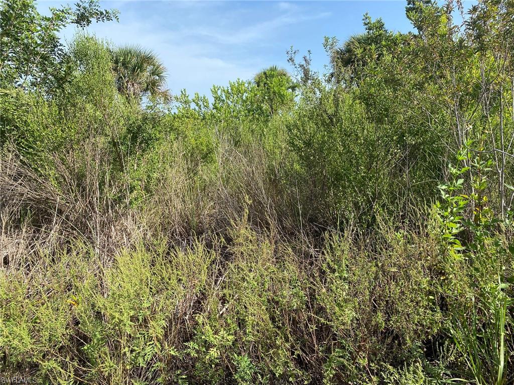 NOT APPLICABLE - Land