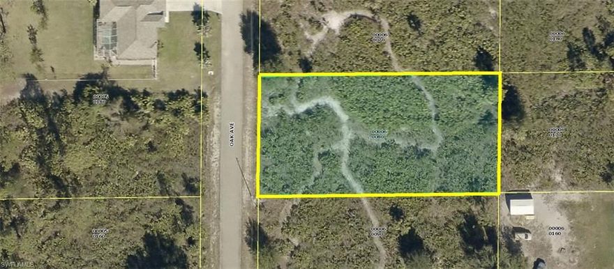 A very nice high and dry generous oversize 1/2 Acre wide & deep homesite (width 105' x 210' deep +/- ... 22,050 Sq. Ft.) in a very quiet area low to no traffic dead end street of nicely kept single family homes in LEHIGH ACRES. This property is 100 percent clear with only low secondary growth and grasses with Eastern morning sunrise views at the rear of home site with quick and easy access to Sunshine Boulevard, Joel Boulevard, Palm Beach Boulevard (State Road 80), Lee Boulevard, shopping, restaurant, employment, medical care, SWFL International Airport, Caloosahatchee River, boating, beaches and all that beautiful Southwest Florida has to offer. Western views facing the roadway. County maintained paved roads with power and phone lines at the street. Build your dream or vacation home now and/or save this special oversize 1/2 PLUS Acre home-site for later. Don't miss this unique opportunity to purchase this premium home-site for only $11,995 with $0 (ZERO) down, no credit check or income verification for ONLY $98.00 per month payment. Personal checks OK. Call today... you'll be so glad you did.