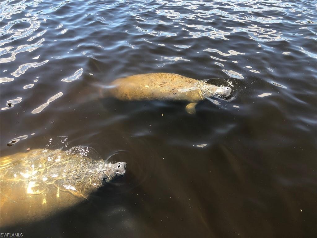 EVENINGSTAR CAY - Land