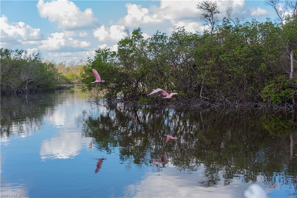 EVENINGSTAR CAY - Land