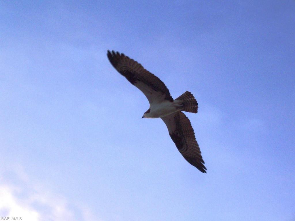 WATERSIDE AT BAY BEACH - Residential