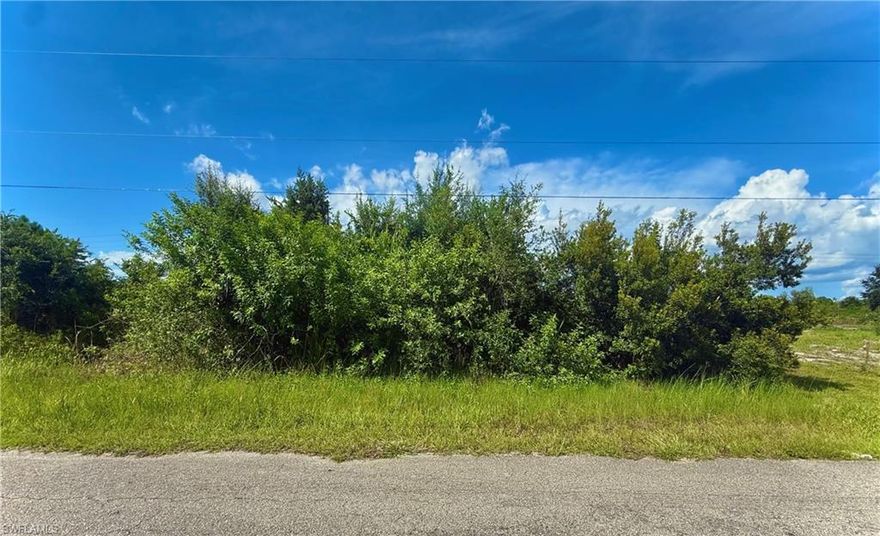 GREAT LOCATION! Unique SIDE BY SIDE lots located on a quiet paved street backed to a canal with utilities available just minutes from major amenities, and a quick commute in Fort Myers. The ADJACENT Lot 1227 belgrave st is also for sale with the potential to strap into 1/2 ACRE or build brand new homes side by side! Come build your DREAM HOME or INVEST today!