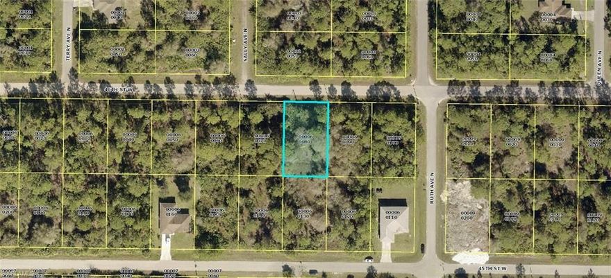 Beautiful Lot in Lehigh Acres, zoned for a single-family residential. great opportunity to own your own piece of Paradise while prices still Affordable. Lehigh is a community East of Fort Myers, the home of Spring Training for Boston Red Sox and Milwaukee Twins, multiple shopping malls and outlets. World -Class dining.