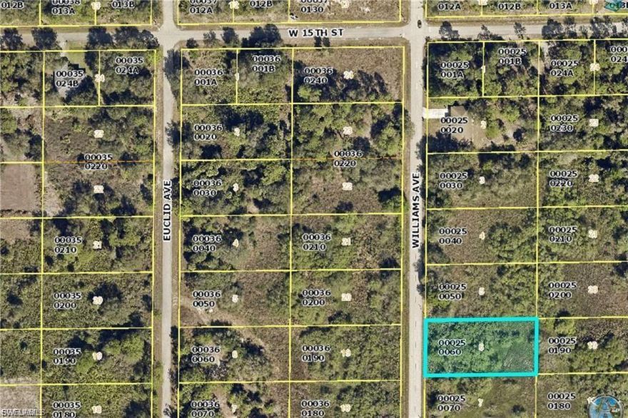 Presenting this half acres lot on desirable street in Lehigh Acres.