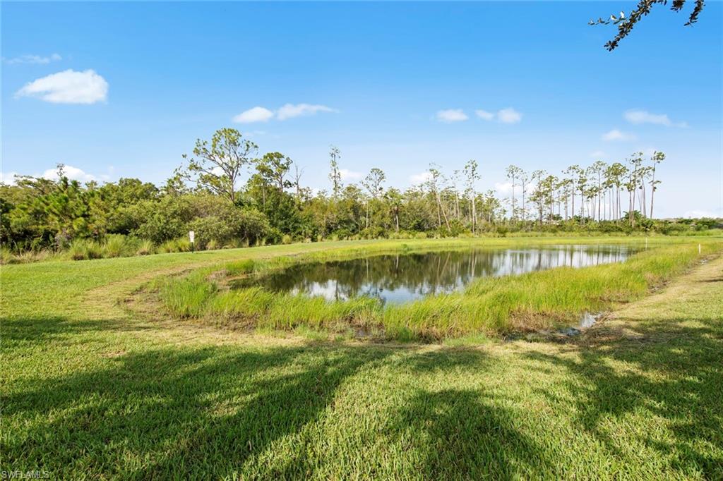 PRESERVE AT CORKSCREW - Residential