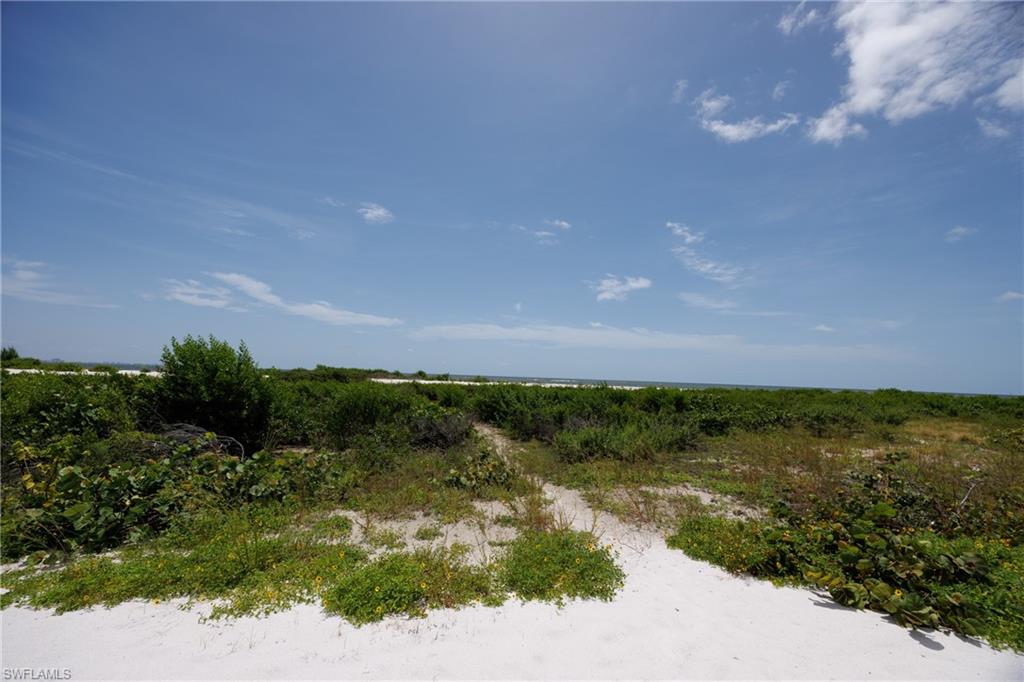 GRAND OLE MAN - Residential