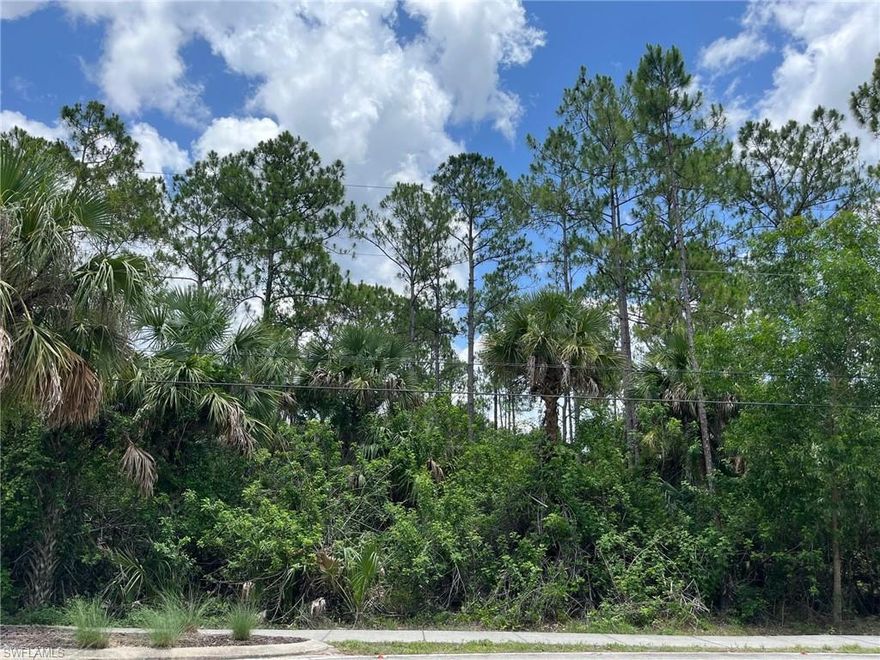 Uplands 100% per the June 2023 TEC Wetland Determination attached. Enjoy the peaceful, country lifestyle of Golden Gate Estates, just minutes from the splendor and beautiful beaches of Naples, Florida. Build the estate of your dreams on this wonderful 5 acre property in a great close-in location just about 3 miles east of Collier Blvd. Library and fire station just up the street. Plenty of room for a guest house or stables. Could be subdivided into two buildable properties. Beautiful property with lots of nice pines & palms. Just a short drive to shopping and the new Paradise Coast Sports Complex.