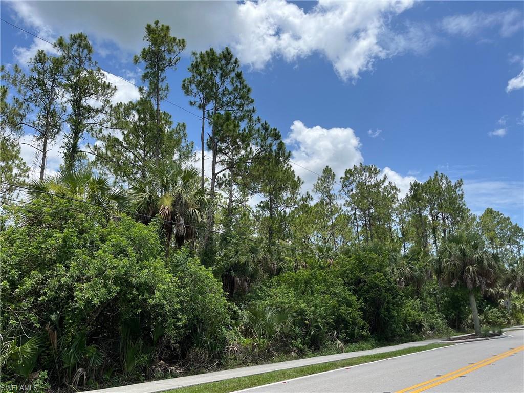 GOLDEN GATE ESTATES - Land