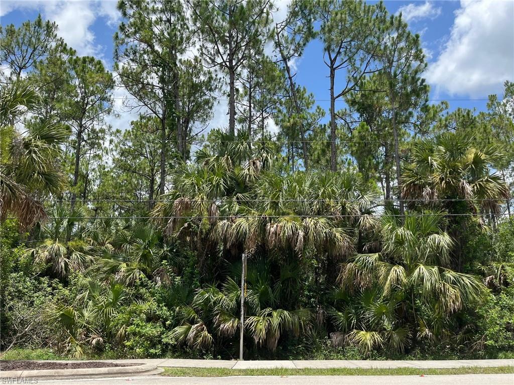 GOLDEN GATE ESTATES - Land