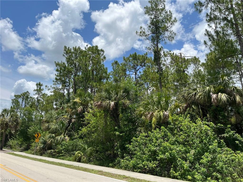 GOLDEN GATE ESTATES - Land