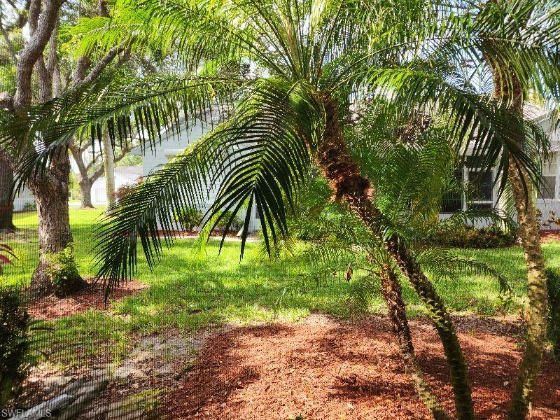 PINE RIDGE OF FORT MYERS VILLAGE - Residential