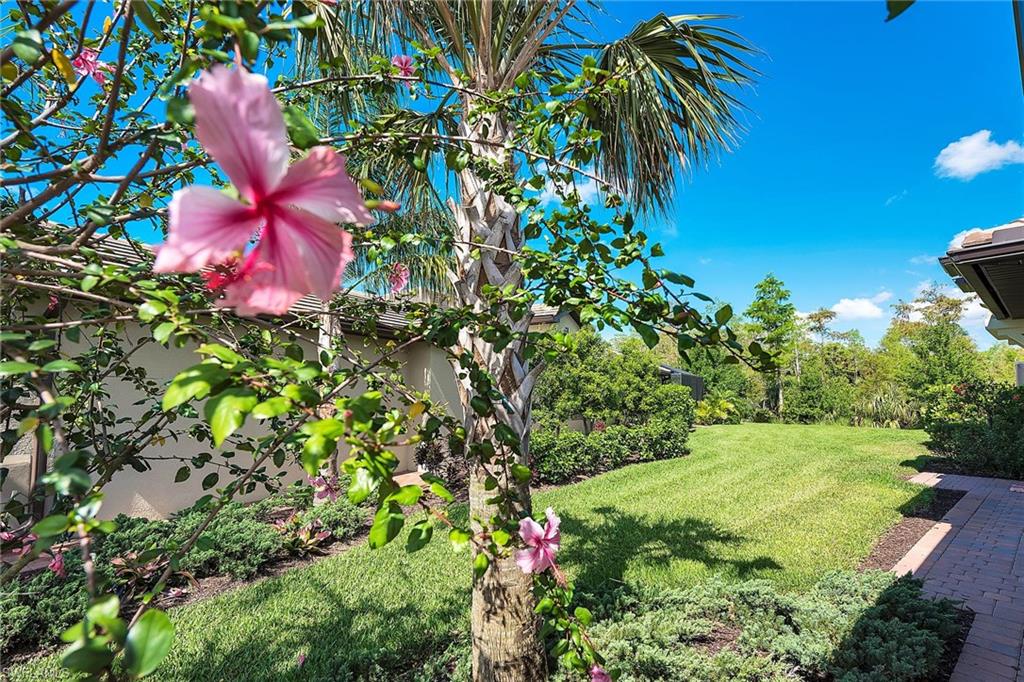 WINDING CYPRESS - Residential