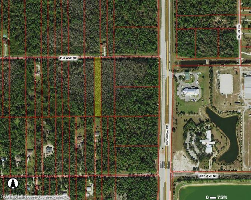 ***GREAT PRICE FOR INVESTORS, FIRST TIME BUYERS, & BUILDERS** 
Wonderful 1.14 Acre wooded Lot On 41st Ave Ne Just off Immokallee RD. Across the street from Collier County Fairgrounds! 
Seller Wetland Determination available. Seller Survey Available as well. Local Builders can discuss the logistics of building on this lot.