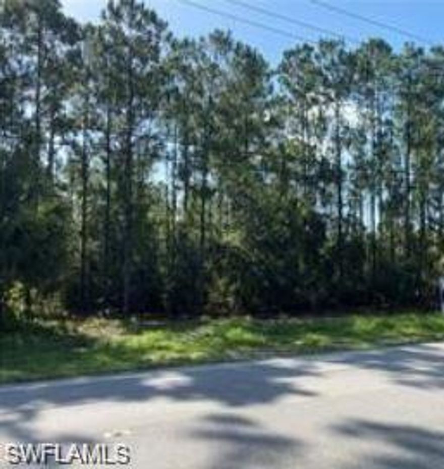 GREAT LOCATION.....BEAUTIFUL WOODED 2.34 ACRES (HIGH AND DRY) GREAT LOCATION, NEW SHOPS COMING SOON... CLOSE IN.... BUILD YOUR DREAM HOME.. PLENTY OF ROOM FOR A GUEST HOME......(HIGH AND DRY)...HORSES, CHICKEN, GOATS & GARDENS, WHAT EVER YOU ARE INTO... ..MAKE AN OFFER TODAY...DID I MENTION (HIGH AND DRY)...