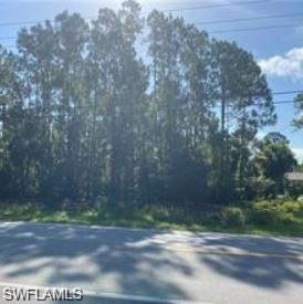 GOLDEN GATE ESTATES - Land