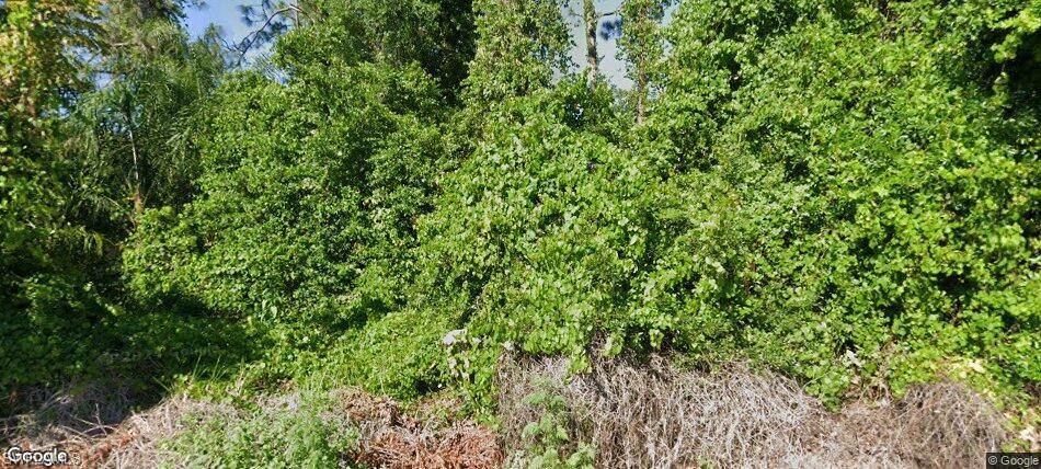 LAKE PLACID WATERWAY - Land