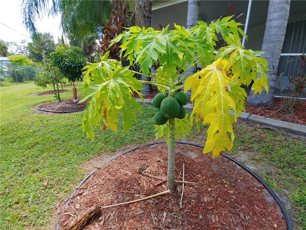 PORT CHARLOTTE - Residential