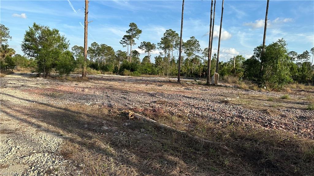 GOLDEN GATE ESTATES - Land