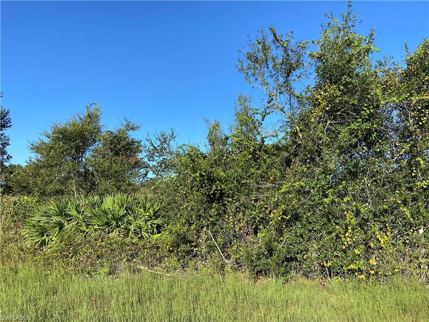 Bundle deal! Looking for peace and tranquility away from the hustle and bustle from your everyday life? Look no further! Build your dream home with lots of room to play and with beautiful western sunsets. The seller of this one acre lot is also selling the north half acre lot located at 1757 Pine Ave. Are you an investor or a builder? This one acre lot could be split in two separate half acre lots. You could build 3 residential homes side by side with the additional purchase of the lot located at 1757 Pine Ave. Call today to find out all details on this great opportunity to own a combined 1.50 acres in sunny Lehigh Acres, Florida. There is no snow shoveling here! Call today! Agents please see confidential remarks.