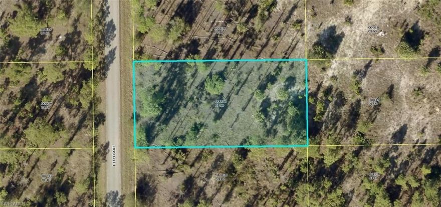 This half acre lot is located near contry club estate community, close to shopping centers. Not in a flood zone and it's not in a gated community.