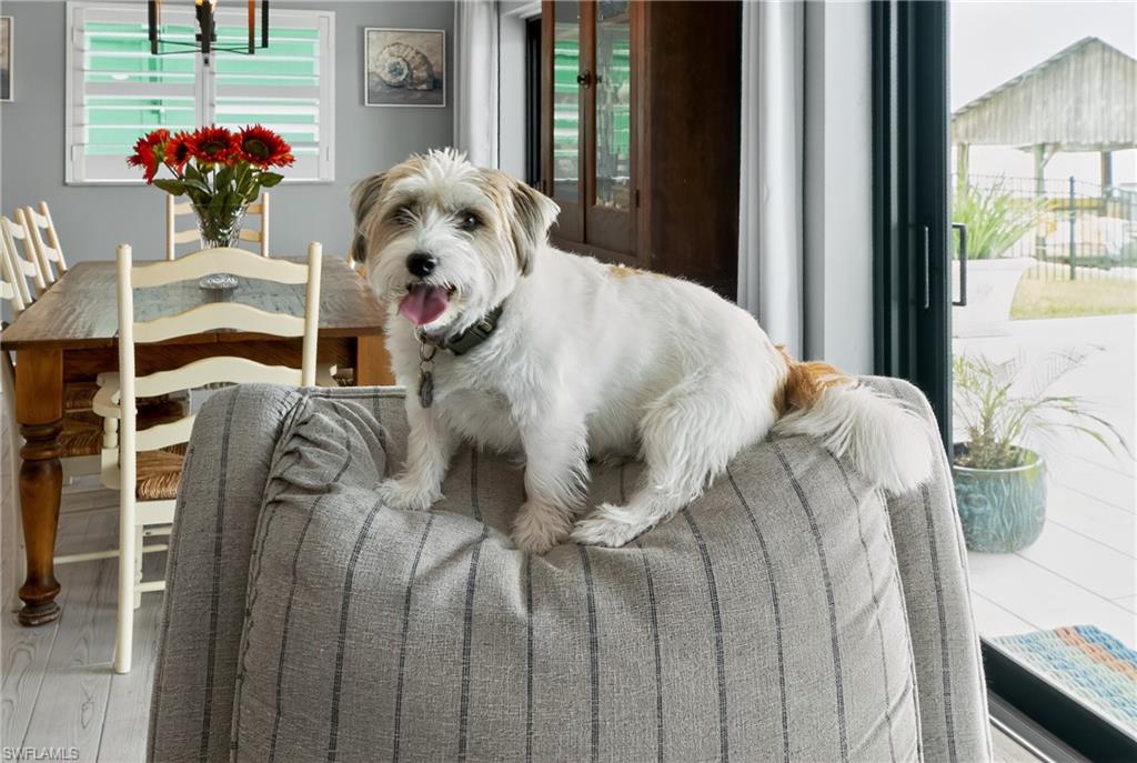 ISLES OF CAPRI - Residential