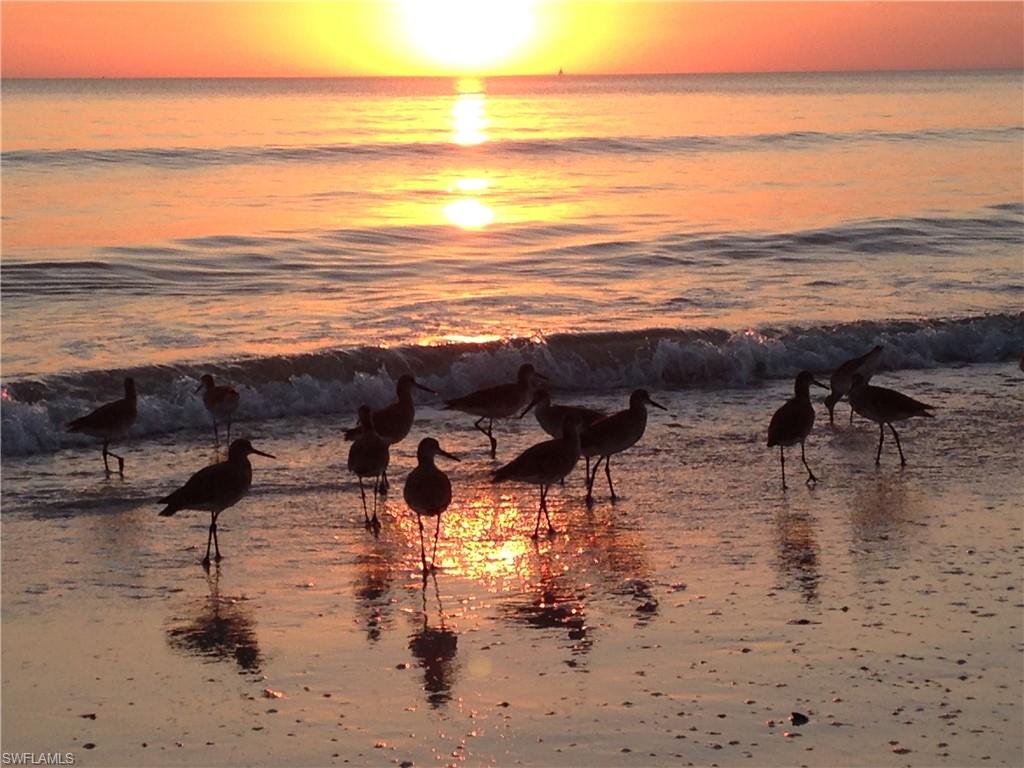 SANDPIPER VILLAGE - Residential