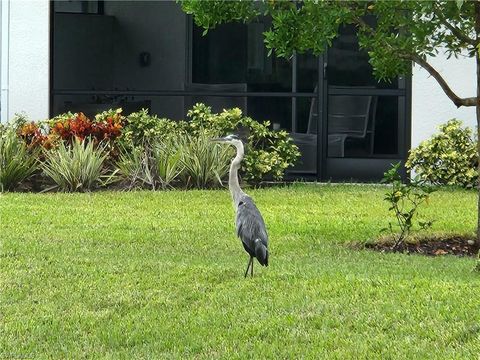 A home in BONITA SPRINGS