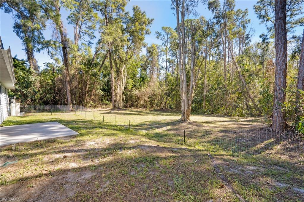 SAN CARLOS PARK - Residential