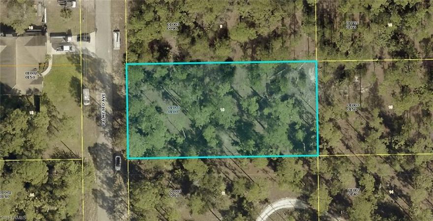 This oversized residential lot offers an excellent opportunity to build your dream home in one of the most desirable areas of Lehigh Acres. Measuring approximately 209 x 104 feet, the property provides ample space for a spacious single-family home, outdoor living areas, and future customization. Situated in a quiet, established neighborhood, the lot offers a peaceful setting while remaining conveniently close to major roadways, including Sunshine Boulevard and Joel Boulevard, allowing for easy access to shopping, dining, schools, and everyday necessities. The generous dimensions make this parcel ideal for buyers seeking privacy, flexibility in design, and room to grow. Surrounded by newer homes and ongoing development, this location continues to gain value, making it a smart investment for homeowners and builders alike. Whether you’re planning to build now or hold for the future, this oversized lot presents a rare opportunity to secure land in a growing and well-connected area of Lehigh Acres.
