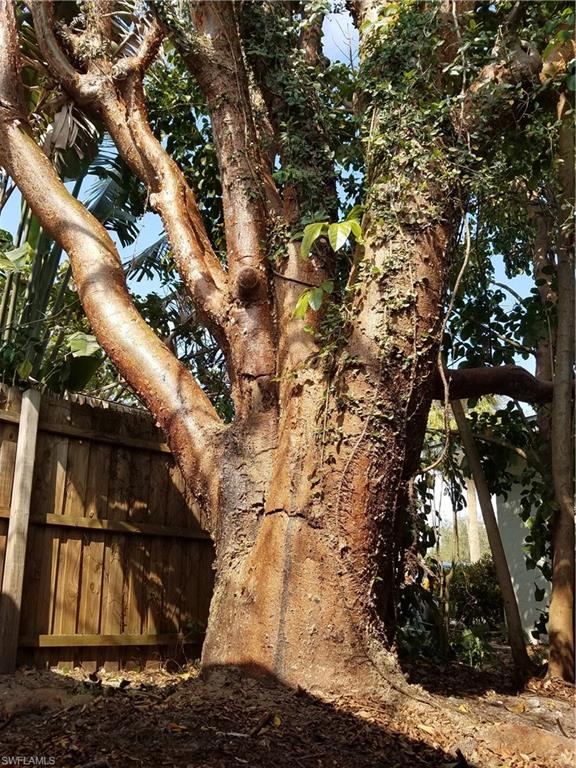 PALMLEE PARK - Residential