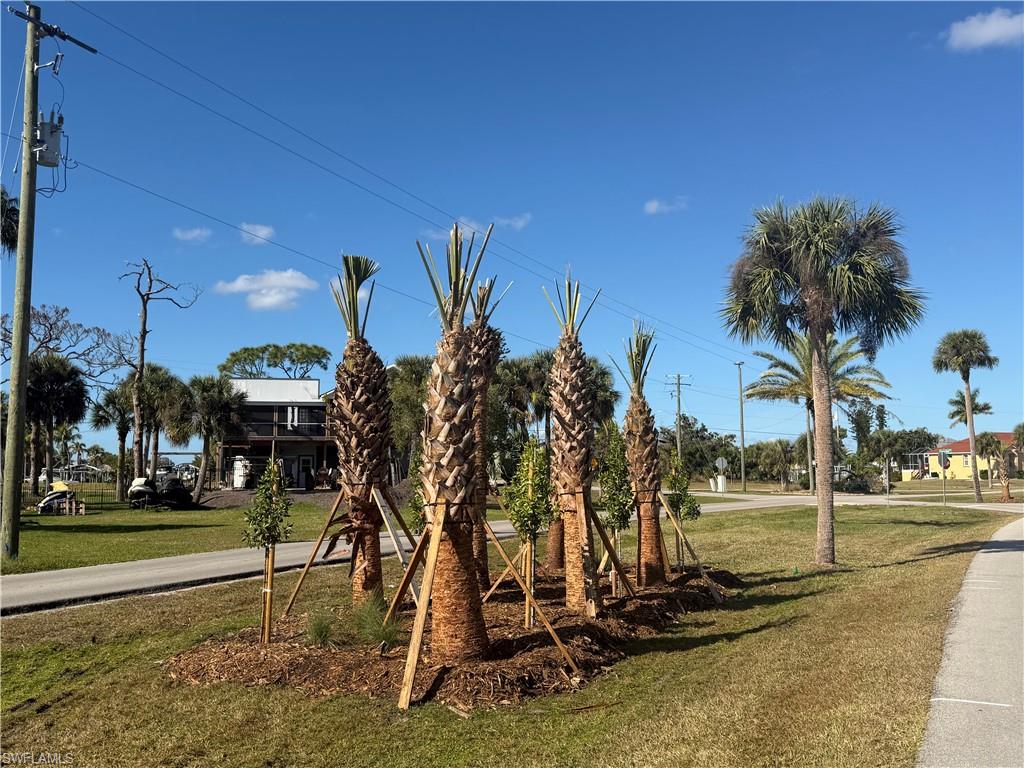 PIRATE HARBOR - Land