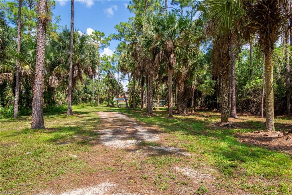 SHADY HOLLOW - Residential