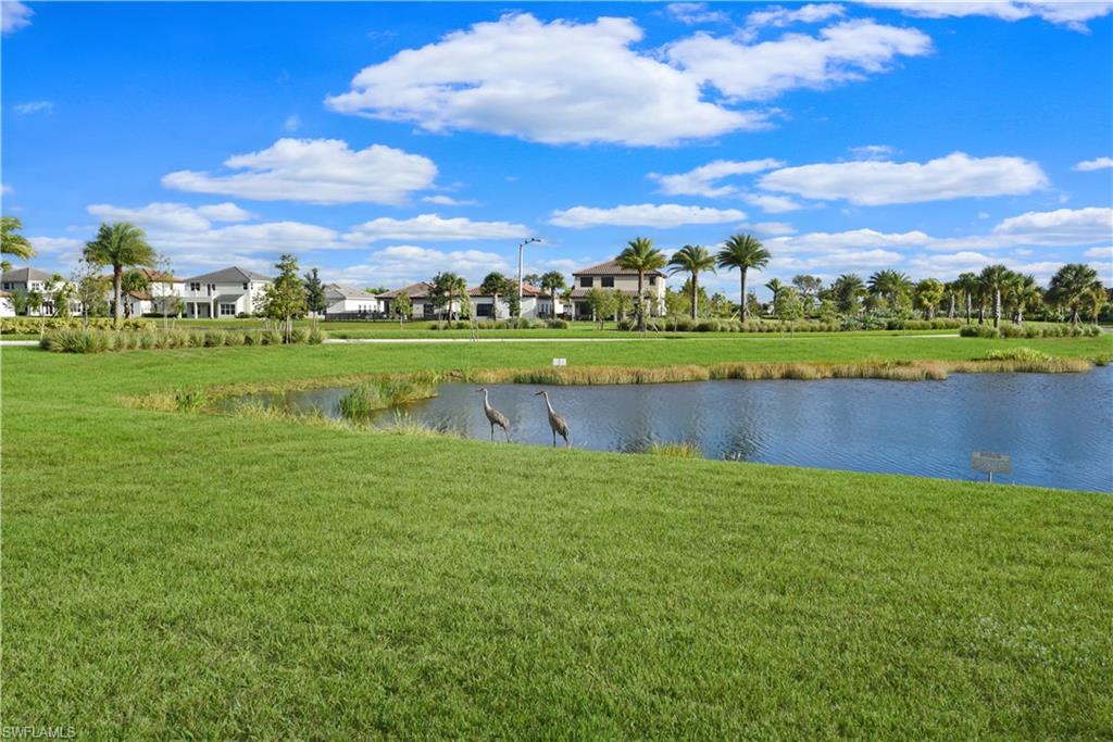 MAPLE RIDGE - Residential