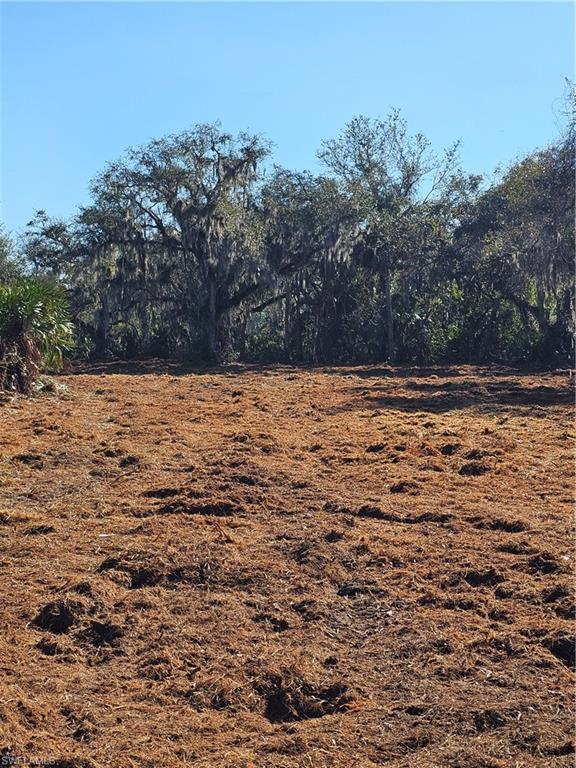 NORTH FORT MYERS - Land