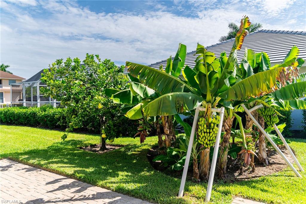 MARCO BEACH - Residential