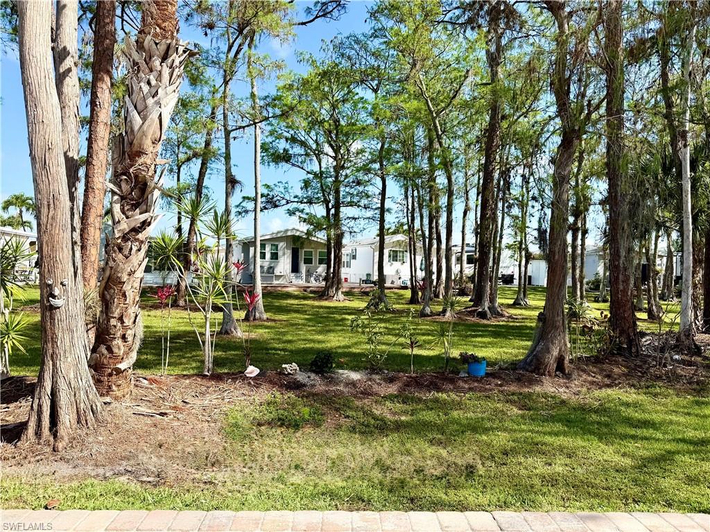 IMPERIAL WILDERNESS - Land