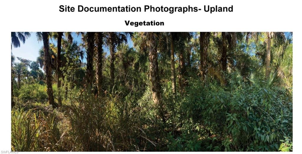 GOLDEN GATE ESTATES - Land