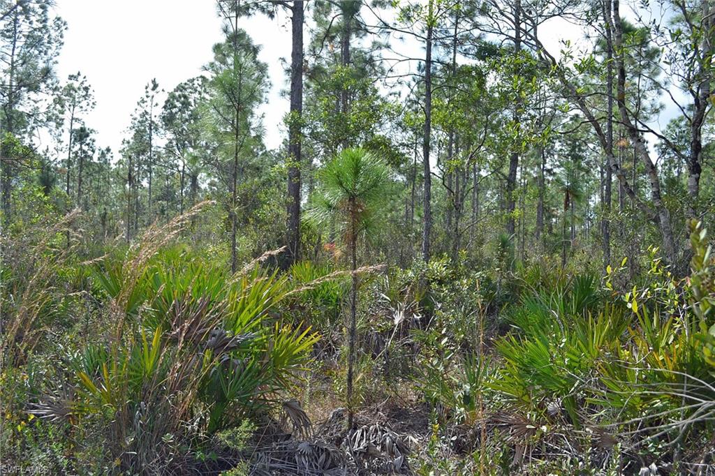CORKSCREW ISLAND - Land