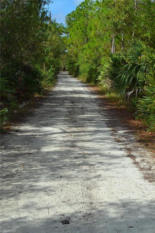 CORKSCREW ISLAND - Land