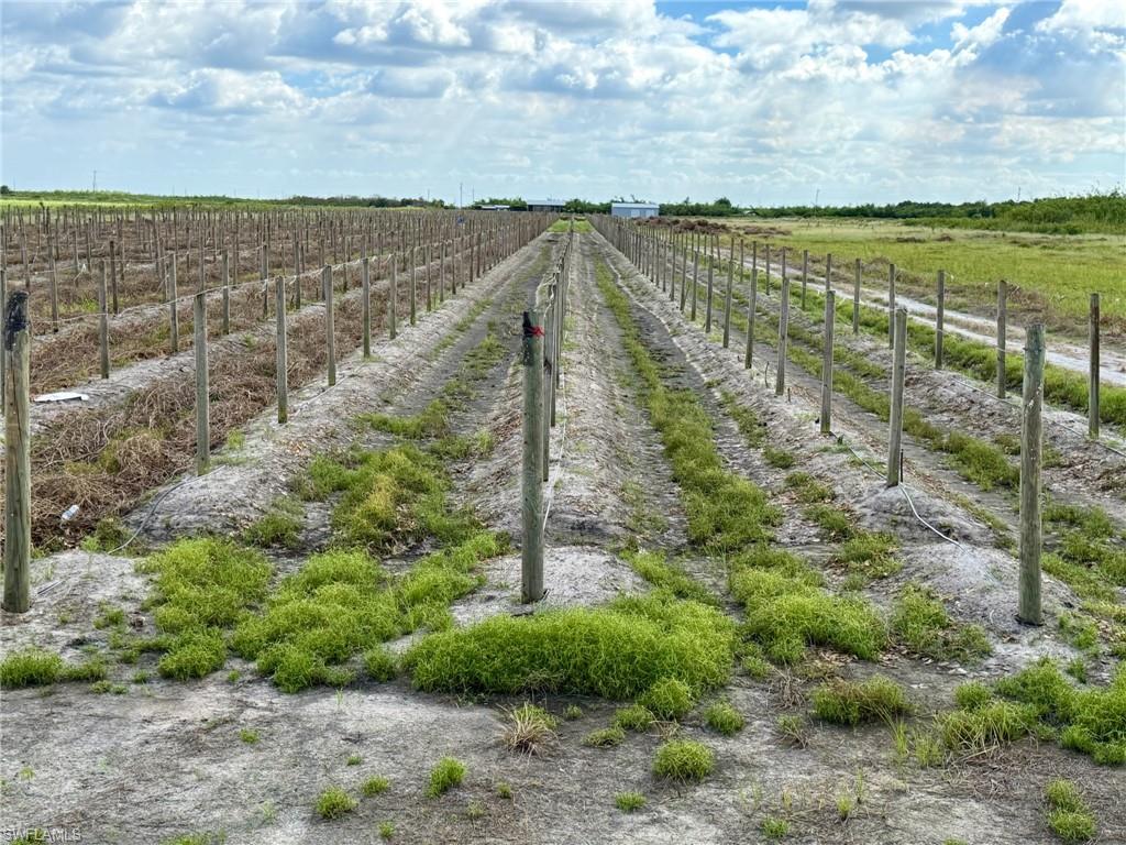 GERBER GROVES SEC 1 - Land