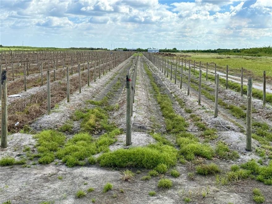 Unique 13.34 acre former passion fruit and aloe farm. Passion fruit and aloe plants have been removed, but stakes for growing passion fruit remain. The entire property is securely fenced for animal exclusion and privacy. Facilities on-site consist of a greenhouse, two warehouses including a large 1,440 sq ft structure with 12 ft high ceilings and three rolling garage doors, as well as a smaller warehouse with a bathroom. The farm is equipped with a comprehensive irrigation system and water pump, drawing from a nearby canal, with a water barrier iinstalled to block debris. Seller financing may be available to qualified buyers. This is a unique opportunity to purchase a blank slate with infrastructure already in place.