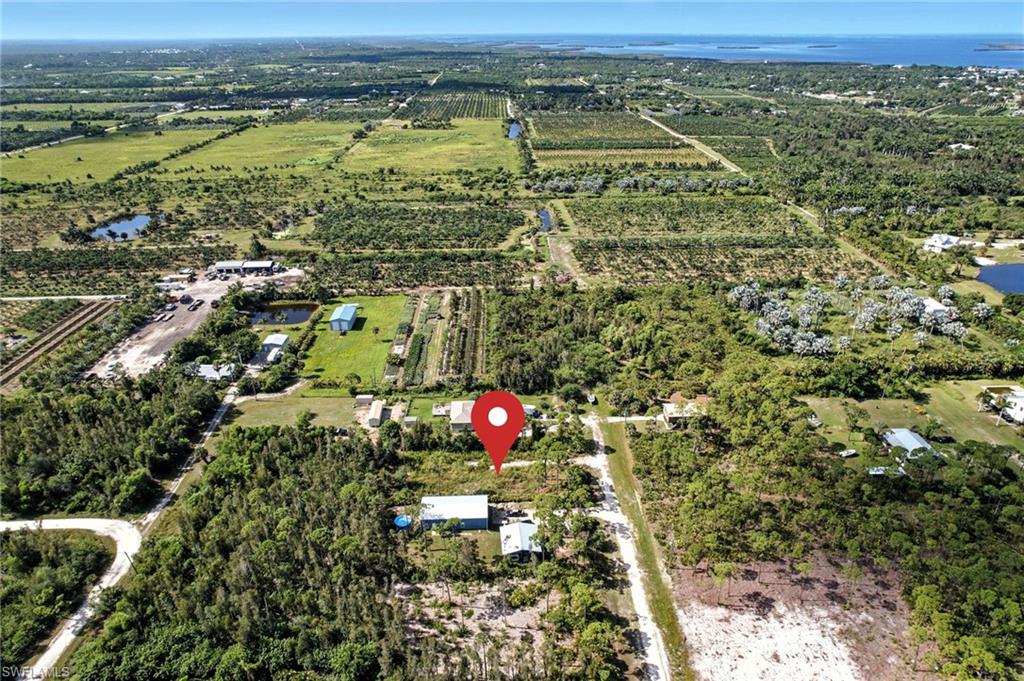 KREAMERS AVOCADO SUBD - Land