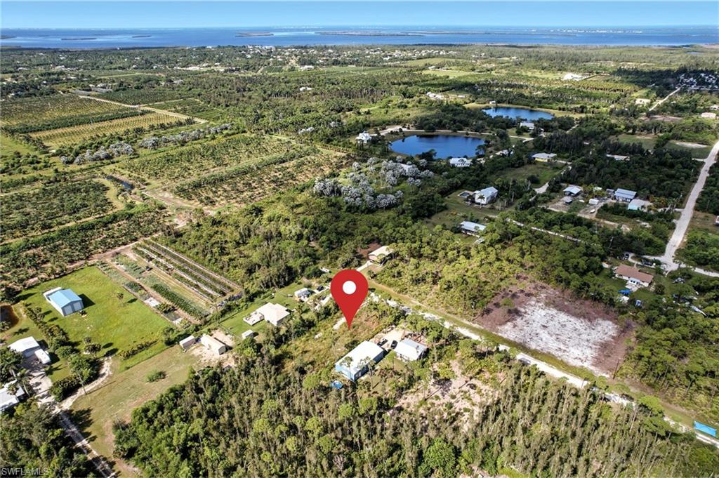 KREAMERS AVOCADO SUBD - Land