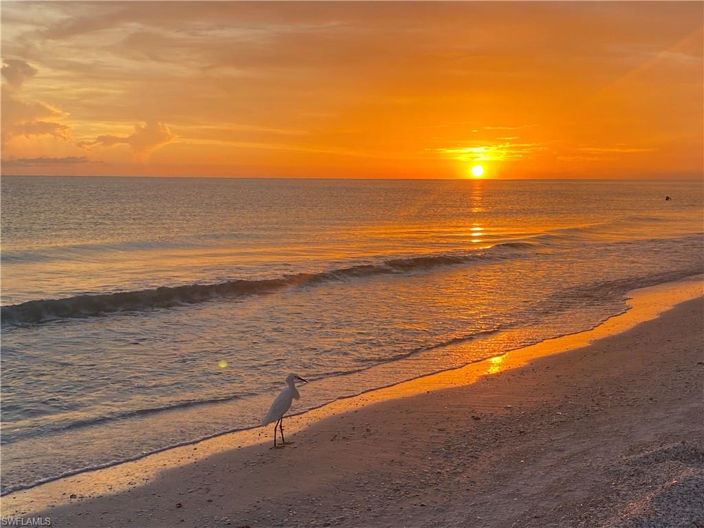 SAND DOLLAR VILLAS - Residential