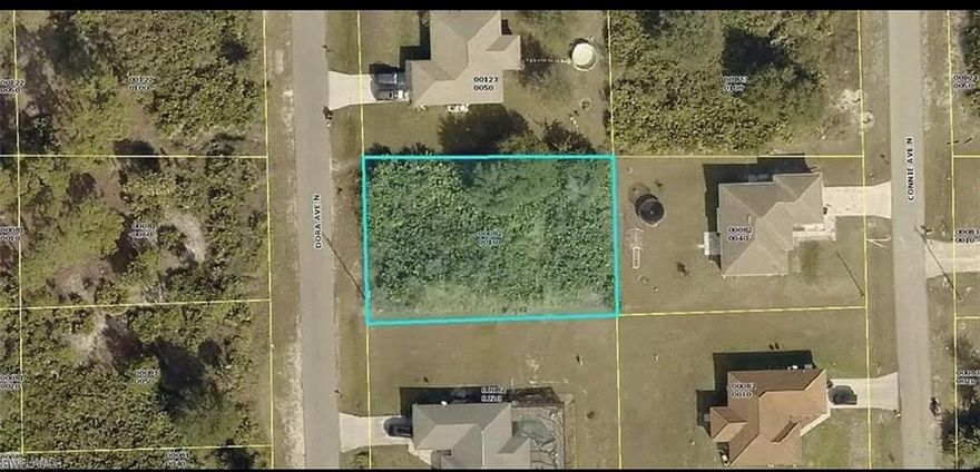 Seller motivated This lot is located in a very developed neighborhood in Lehigh Acres with huge potential to build on it right away.
High and Dry Lot ready to build on