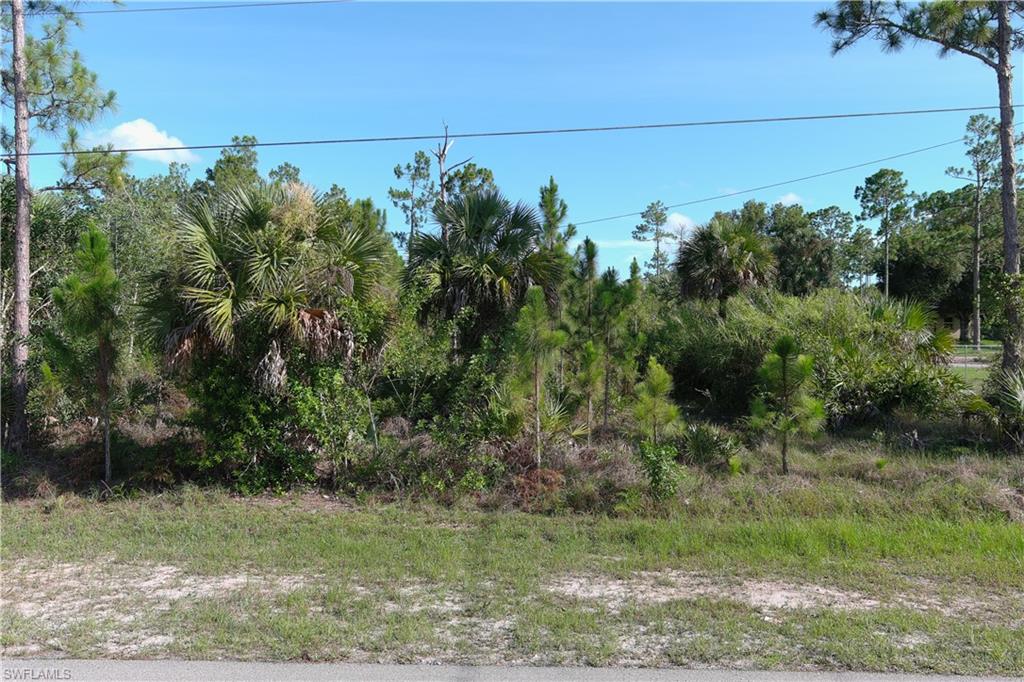 GOLDEN GATE ESTATES - Land