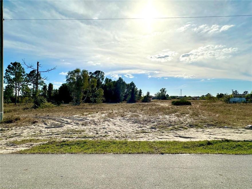 Embrace the boundless potential of this rare offering. The owner is selling individually or as a package deal. Not one, but two side-by-side oversized lots! (314 Petite Ave which is next to this one is also available) together they total 0.56 Acres. 

Nestled near the heart of Lehigh Acres, Homestead Rd, this vacant piece of land sits in the perfect location where you can have shopping, dining, entertainment, and more. The convenient access to SR-82 gives you easy access to Daniels Pkwy and I-75. This parcel of real estate offers a great opportunity to turn this canvas into your future home. Many new construction homes are being built in the area, so let your imagination soar as you explore the endless possibilities.